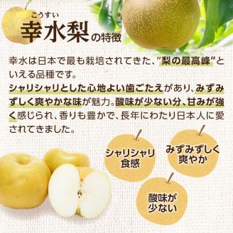 福岡人気のフルーツ定期便【全4回】ふるさと納税で人気のフルーツお届け便　JAふくおか八女からお届け！！ 梨 豊水 幸水 シャインマスカット みかん ミカン あまおう いちご 苺 イチゴ フルーツ 果物 くだもの 人気 旬 高糖度 甘い 福岡県産 アフター補償 数量限定 期間限定 産地直送 全4回 定期便 福岡県 八女市