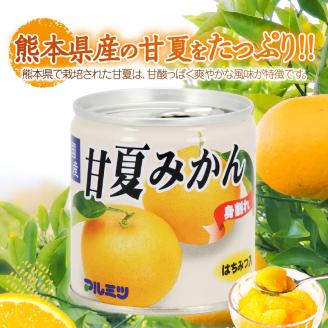 甘夏みかん 缶詰 24缶入り（身割れ）