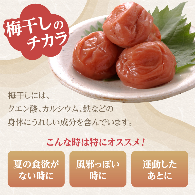梅農家手造りの梅干食べ比べセット 小梅 うめぼし 無添加 紫蘇 ご飯のお供 福岡県 八女市