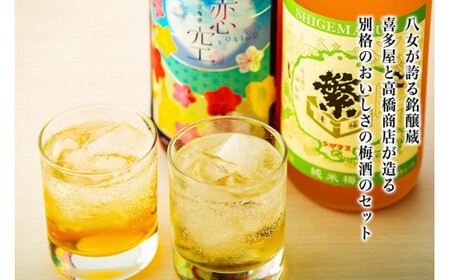 八女の極上梅酒セット 純米酒仕込み 飲み比べ お酒 本格梅酒 ロック 福岡県 八女市