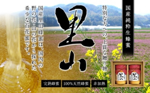 かの蜂 国産里山蜂蜜【500g×2本】セット　養蜂一筋60年自慢の一品 蜂蜜 はちみつ ハチミツ 国産 完熟 天然 非加熱 常温 保存 備蓄 防災食 非常食 保存食 防災グッズ