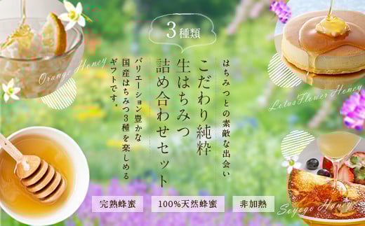 【ギフト用】かの蜂 国産 蜂蜜 3本セット250g×3本（れんげ・みかん・そよご） ★ふるさと納税限定セット★ はちみつ 蜂蜜 ハチミツ ハニー 非加熱 純粋 国産 ギフト