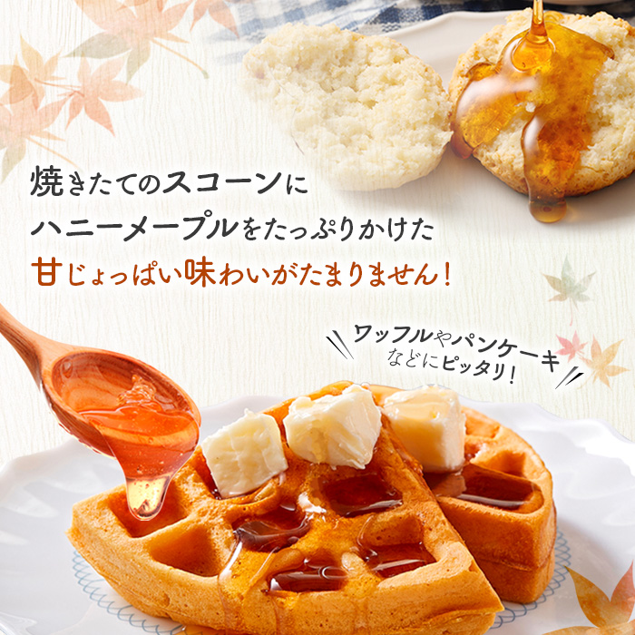 かの蜂 蜂蜜 エコパック ハニーメープル 90g×1袋 メール便 はちみつ ハチミツ カナダ産 シロップ コク 便利 パンケーキ スコーン ワッフル ポスト投函 簡易包装 訳あり 福岡県 八女市