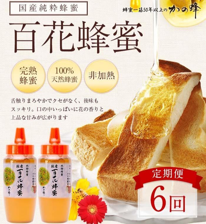 【全6回】 定期便 かの蜂 国産 百花蜂蜜 合計6kg（とんがり容器500gを毎月2本お届け） 純粋はちみつ ハチミツ 非加熱 ハニー 大容量 長期保存 美容 健康 健康食品 定期便