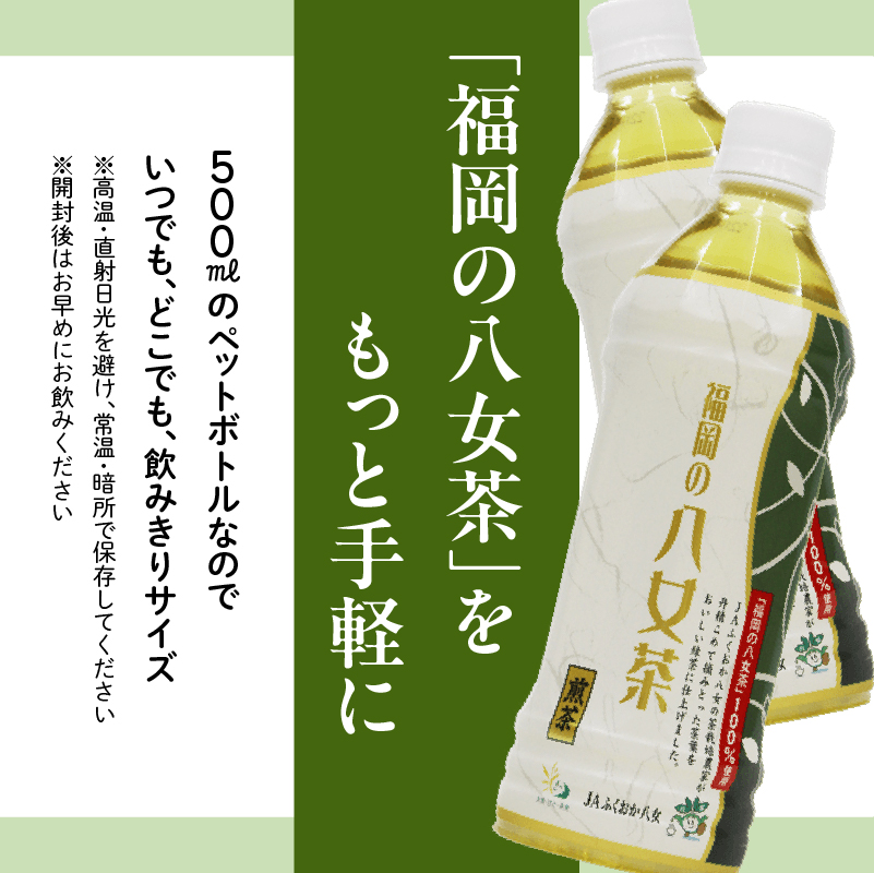 【産地直送】福岡の八女茶 煎茶ペットボトル（500ml×24本）