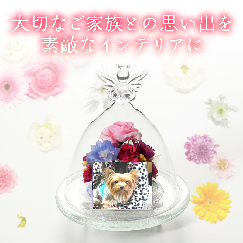 ペットメモリアル ボトルフラワー お供えお悔やみ エンゼル ドライフラワー ボトルフラワー インテリア 思い出 写真 メモリアル