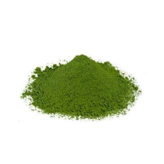 CAMP TEA STYLE（粉末緑茶）スティックタイプ 玉露（心）0.8g×20包 5袋セット