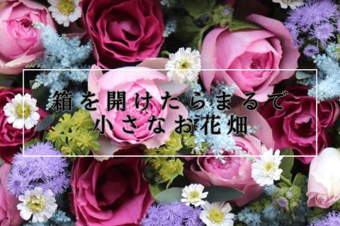 【年4回お届け】四季のフラワーボックス定期便（配送月：3月・6月・9月・12月）＜配送不可：北海道・沖縄・離島＞