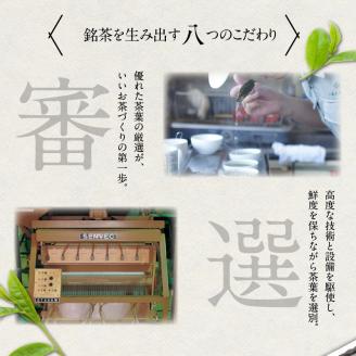 【お茶の光玉園】八女煎茶 100g×5本セット お茶 煎茶 緑茶 茶葉 八女茶 ギフト プレゼント 手土産 贈答用 福岡県 八女市