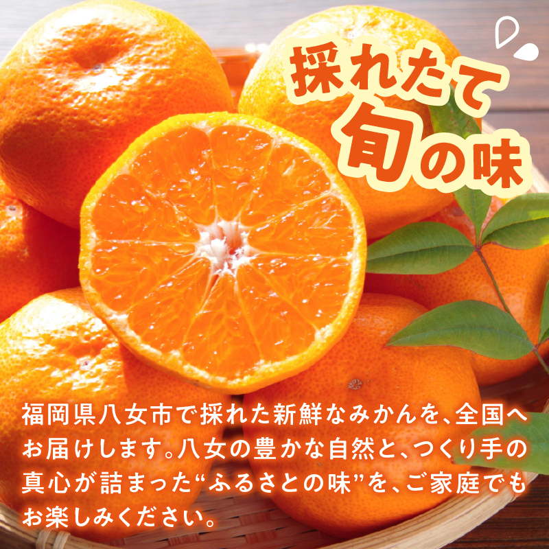 ＜道の駅たちばなオリジナル＞みかん10kg詰合せ 早生みかん 中生みかん 晩生みかん ミカン オレンジ 果物 フルーツ