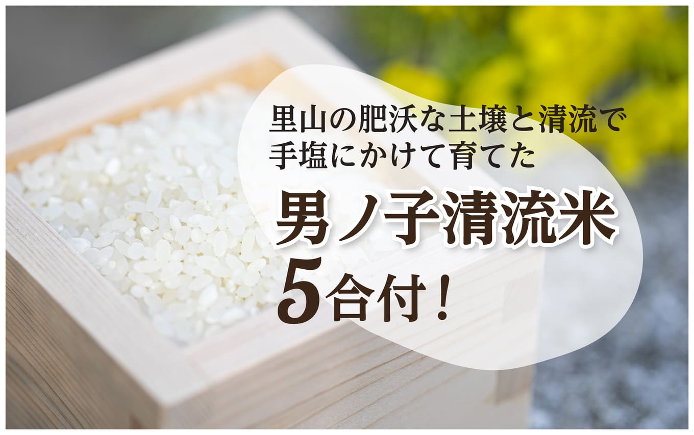 【1日1組一棟貸切】男ノ子焼の里 宿泊券（4名様まで） 【レターパック】キャンプ 宿泊 素泊まり BBQ バーベキュー ゲストハウス 1棟貸し 4名様 お米付き 1日1組 限定 旅行 自然 アウトドア 福岡県 八女市
