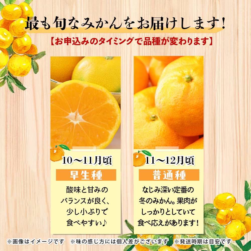 【先行受付】九州・福岡フルーツ王国八女 産地直送！旬のみかん 約10kg【2026年10月～12月頃発送】＜配送不可：北海道・沖縄・離島＞ みかん 旬 早生 レギュラー No.1 産地直送 福岡県 八女市