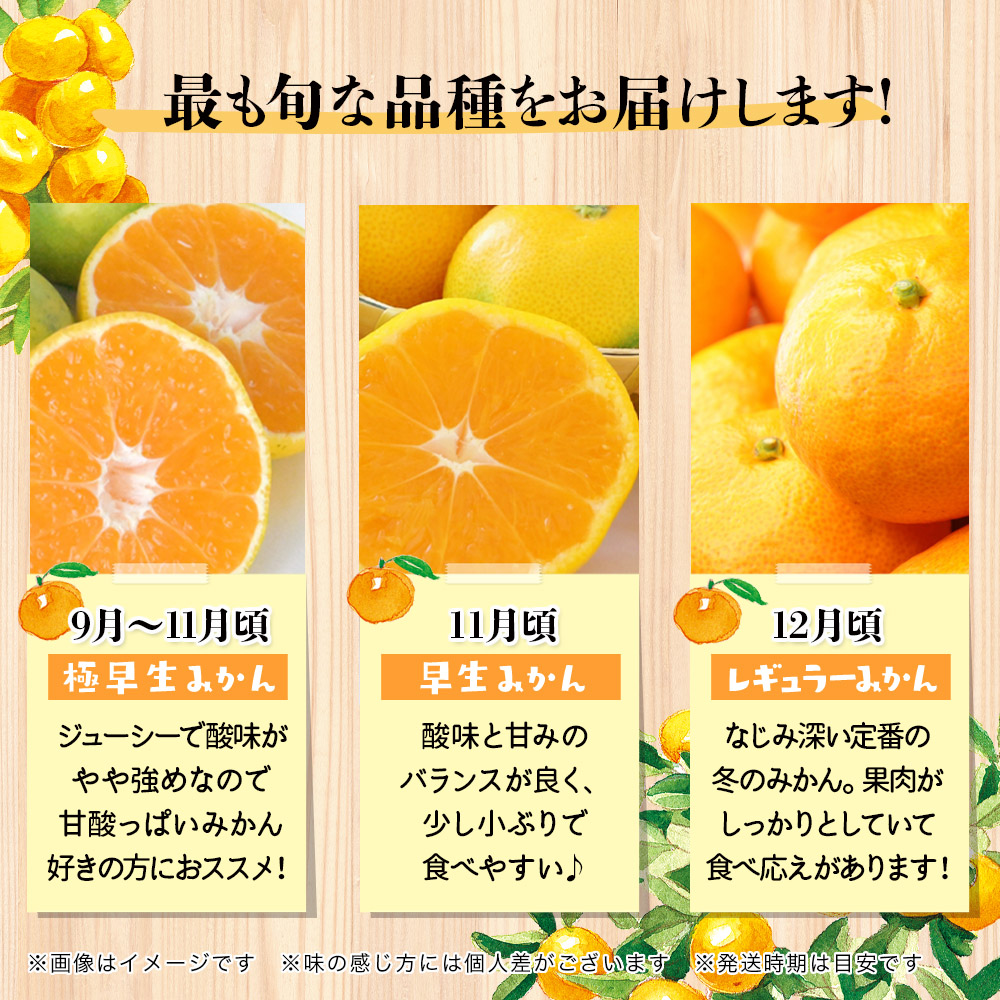 【先行受付】九州・福岡フルーツ王国八女　産地直送！旬のみかん　約１０ｋｇ【2025年9月～12月頃発送】＜配送不可：北海道・沖縄・離島＞