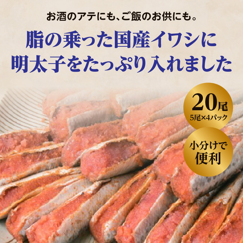 【博多漁師の里】いわし明太子２０尾（５尾×４パック）化粧箱入り 化粧箱入り 国産真いわし使用 鰯 イワシ 旬 魚 めんたいこ ご飯のお供 おつまみ おかず 冷凍 真空パック 便利 簡単調理 美味しい