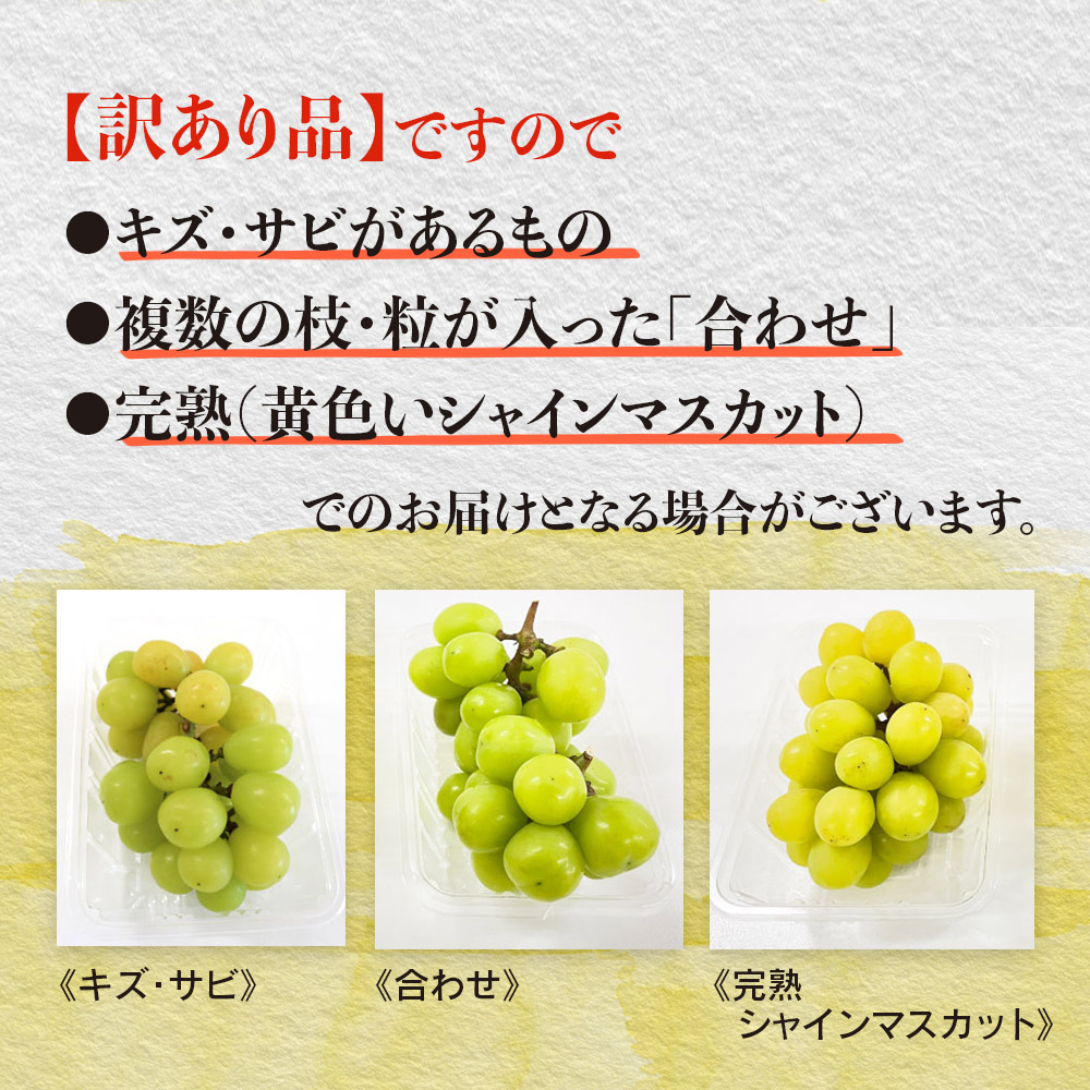 【先行受付】【2026年発送】九州福岡フルーツ王国八女　訳ありシャインマスカット 約1.4kg【数量限定】＜配送不可：北海道・沖縄・離島＞ 数量限定 約1.4kg 自宅用 訳あり 果物 くだもの フルーツ ぶどう 葡萄 ジューシー 種なし 冷蔵 九州 福岡県 八女市