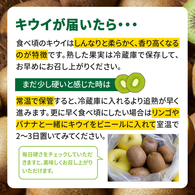 【先行受付：2026年11月頃発送開始】福岡限定品種キウイ「甘うぃ」約3kg<配送不可地域：北海道・沖縄・離島>  先行受付 キウイ キウイフルーツ フルーツ 果物 くだもの 甘い 高糖度 希少 オリジナル品種 新品種 新ブランド