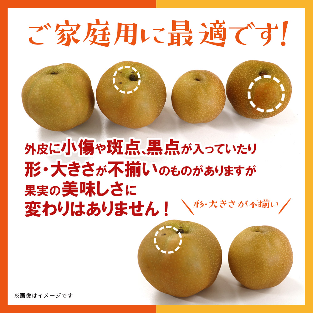 【2026年9月～10月上旬発送予定】九州福岡フルーツ王国八女 旬の梨 約5kg ＜配送不可：北海道・沖縄・離島＞ フルーツ くだもの 果物 なし ナシ 甘太 新興 王秋 産地直送 旬 秋の味覚 デザート 九州 福岡 フルーツ王国 八女