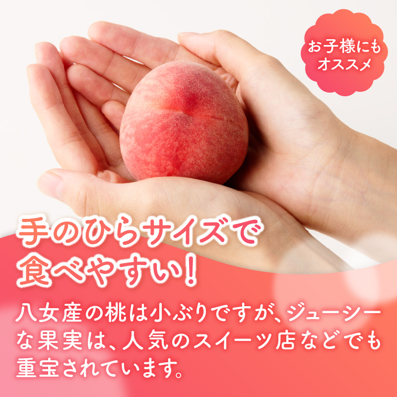 【2026年5月下旬～6月発送】九州・福岡フルーツ王国八女から直送！桃 8玉入り＜配送不可：北海道・沖縄・離島＞  県 八桃 もも モモ フルーツ くだもの 果物 産地直送 ジューシー 家庭用 自宅用 家族団らん デザート スイーツ作り 福岡女市