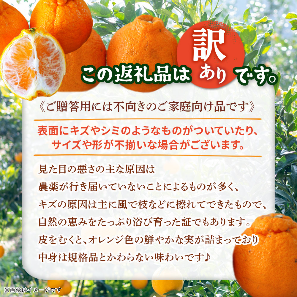 【2026年2月～3月頃発送予定】九州・福岡フルーツ王国八女｜ワケあり「不知火」（デコポンと同品種）約4kg（＋1kg傷み補償付き）＜配送不可：北海道・沖縄・離島＞ しらぬい 不知火 オレンジ みかん 福岡 訳あり 果物
