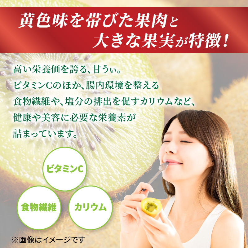 【先行受付：2026年11月頃発送開始】福岡限定品種キウイ「甘うぃ」約1.3～1.5kg <配送不可地域：北海道・沖縄・離島>  先行受付 キウイ キウイフルーツ フルーツ 果物 くだもの 甘い 高糖度 希少 オリジナル品種 新品種 新ブランド 福岡県 八女市