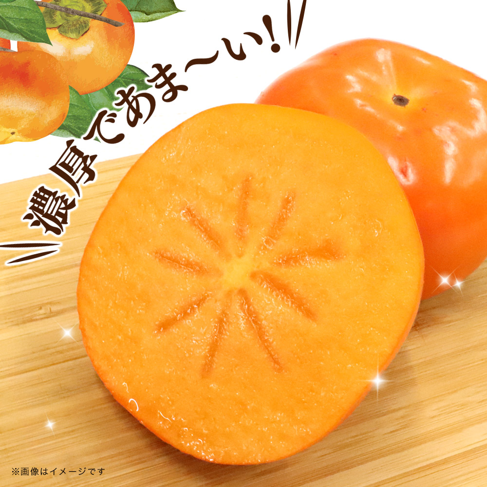 秋の贅沢、濃厚であま～い柿の新ブランド「秋王」約3.5kg（11～14玉）＜配送不可：北海道・沖縄・離島＞ 柿 フルーツ 秋の味覚 濃厚 サクサク 大玉