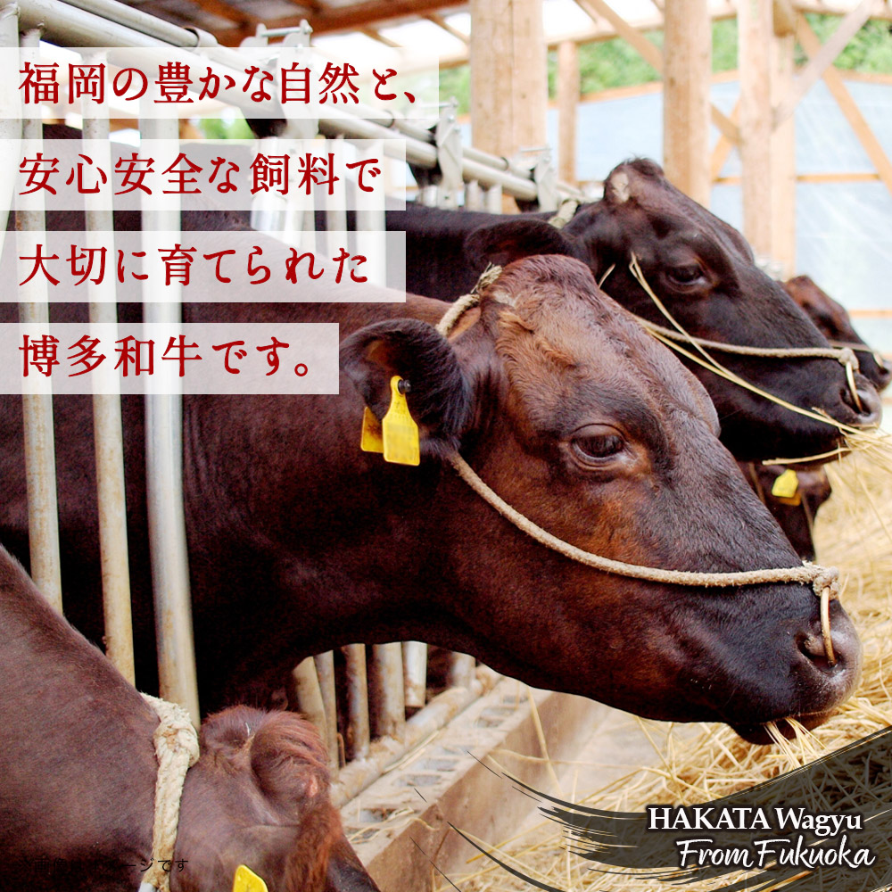 博多和牛 しゃぶしゃぶ（前バラ・トモバラ）約1.8kg（約600g×3） 肉 お肉 博多和牛 和牛 牛肉 前バラ トモバラ 希少部位 国産 冷凍 冷凍配送 使い切りサイズ 小分け 3パック 濃厚 柔らかい ジューシー しゃぶしゃぶ すき焼き 大容量 福岡県 八女市