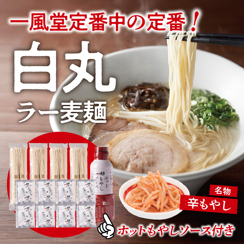 【一風堂】白丸ラー麦麺セット＆ホットもやしソースセット  ラーメン とんこつ 豚骨 豚骨スープ ストレート麺 ラー麦 本格 福岡 ご当地 お取り寄せ 福岡県 八女市