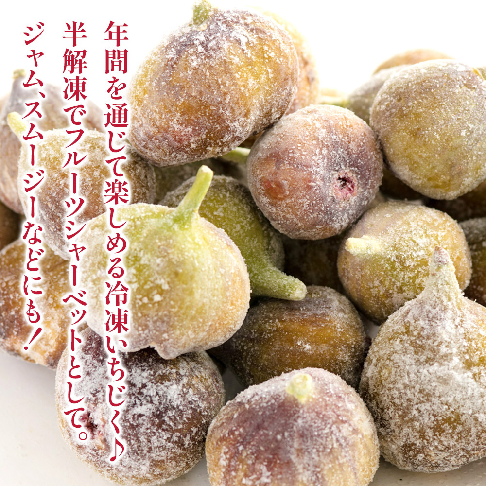 冷凍とよみつひめ（いちじく）約2kg  いちじく とよみつひめ 冷凍 1kg 2袋 小分け クール便 冷凍配送 デザート シャーベット スムージー ジャム パン お菓子作り アレンジ デザート フルーツ 福岡県 八女市
