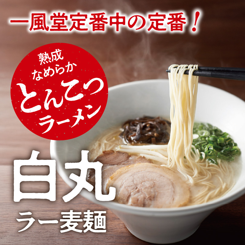 一風堂白丸ラー麦麺セット（16食）  ラーメン とんこつ 豚骨 豚骨スープ ストレート麺 ラー麦 本格 福岡 ご当地 お取り寄せ 
