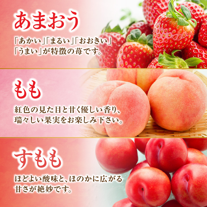 九州・福岡フルーツ王国八女　旬のフルーツ定期便【全３回】 C｜＜配送不可：北海道・沖縄・離島＞ あまおう いちご 苺イチゴ もも 桃 すもも 果物 フルーツ 定期便 デザート 旬 もぎたて 直送 福岡 八女市
