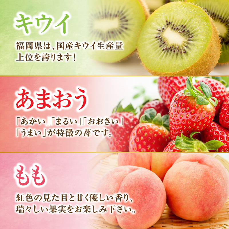 九州・福岡フルーツ王国八女　旬のフルーツ定期便【全３回】 D｜＜配送不可：北海道・沖縄・離島＞ あまおう 苺いちご イチゴ キウイ キウイフルーツ もも 桃 モモ 果物くだもの フルーツ 定期便 デザート 旬 もぎたて 直送 福岡 八女市