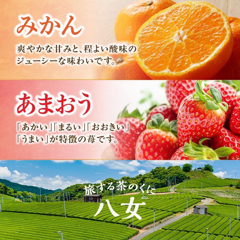 九州・福岡フルーツ王国八女　お試し旬のフルーツ定期便【全２回】 A｜＜配送不可：北海道・沖縄・離島＞