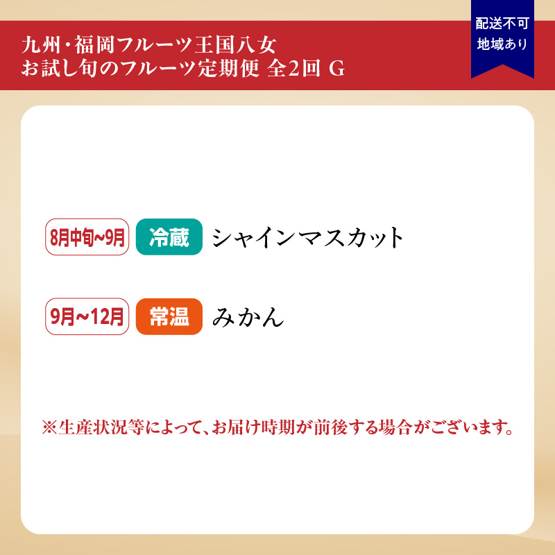 九州・福岡フルーツ王国八女　お試し旬のフルーツ定期便【全２回】 G｜＜配送不可：北海道・沖縄・離島＞