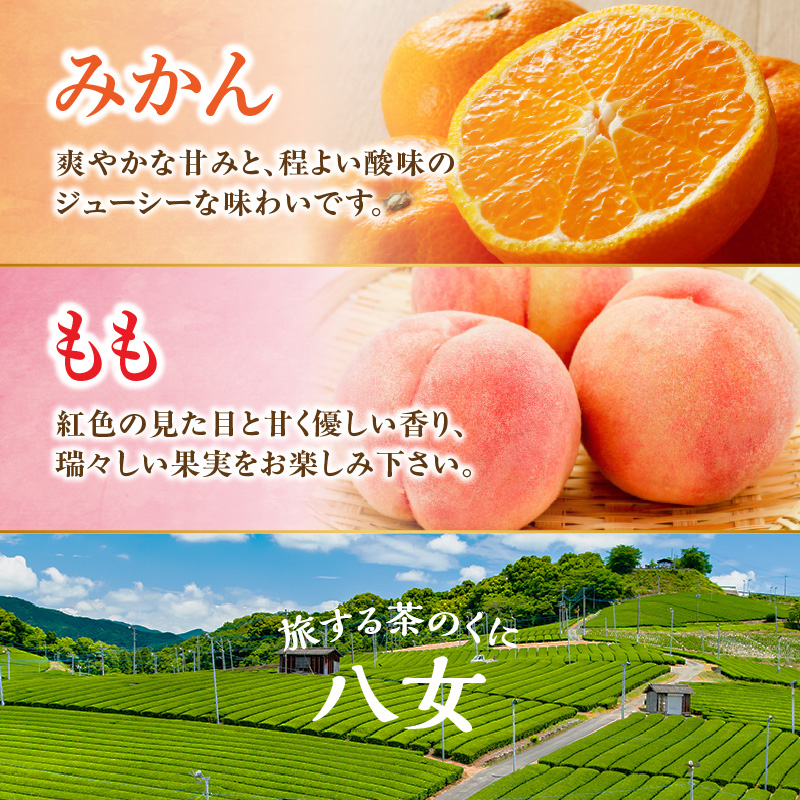 九州・福岡フルーツ王国八女　お試し旬のフルーツ定期便【全２回】 Ｈ　＜配送不可：北海道・沖縄・離島＞