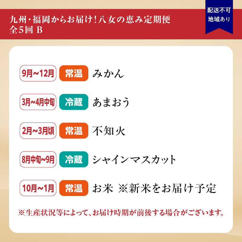 九州・福岡からお届け！お楽しみ八女の恵み定期便【全５回】 B｜配送不可：北海道・沖縄・離島
