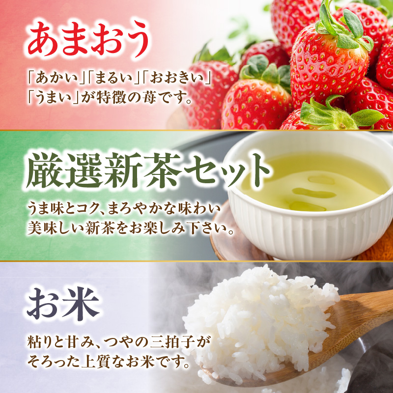 九州・福岡からお届け！八女の恵み定期便【全３回】 A｜＜配送不可：北海道・沖縄・離島＞