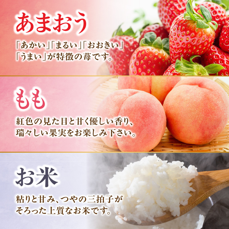 九州・福岡からお届け！八女の恵み定期便【全３回】 C｜＜配送不可：北海道・沖縄・離島＞