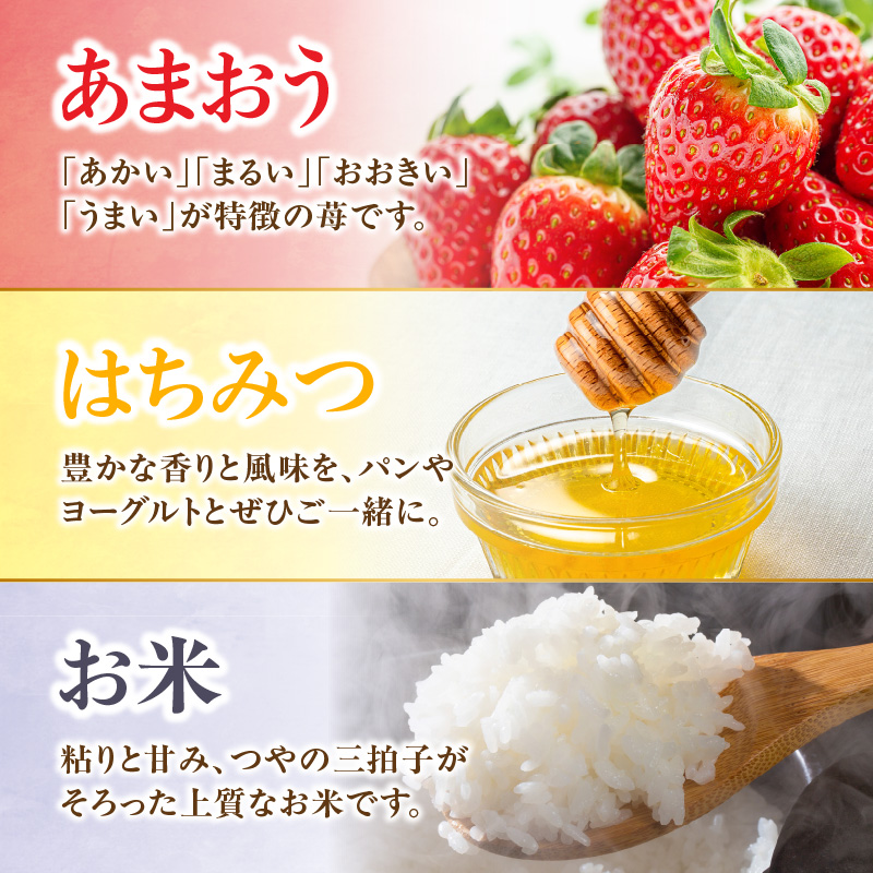 九州・福岡からお届け！八女の恵み定期便【全３回】 E｜＜配送不可：北海道・沖縄・離島＞