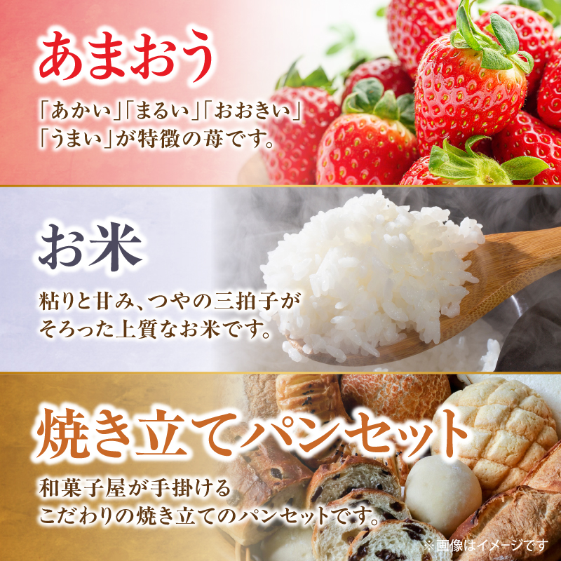九州・福岡からお届け！八女の恵み定期便【全3回】H　※配送不可：北海道と離島（沖縄本島を含む）