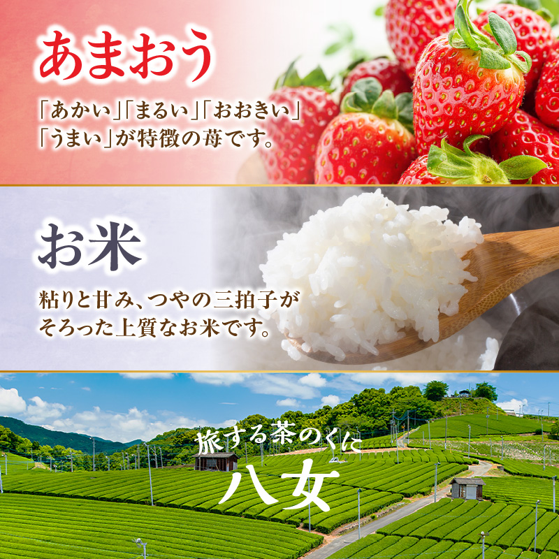 九州・福岡からお届け！八女の恵み定期便お試し【全2回】A　※配送不可：北海道と離島（沖縄本島を含む）
