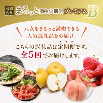 福岡・八女まるっと満喫定期便プレミアム全5回B＜配送不可：北海道・沖縄・離島＞
