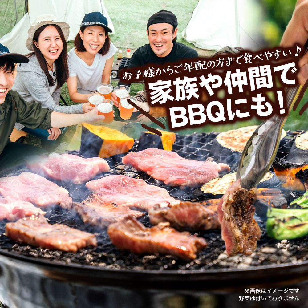 博多和牛 霜降りカルビ 全3回定期便 約500g×3回