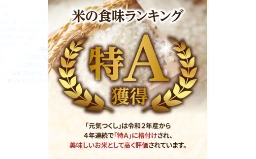 九州・福岡からお届け！ブランド米「元気つくし」定期便 10kg(5㎏×2)【全10回】  お米 米 コメ 白米 特A 直送 お弁当 おにぎり 炊きたて ツヤ 粘り もちもち 弾力 卵かけご飯 福岡県 八女市
