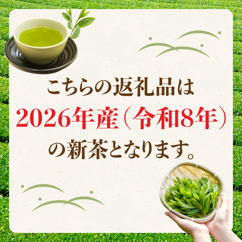 【予約限定茶】希少品「2026年産  初摘み新茶」100g缶詰 2缶化粧箱入 ギフト対応 ＜岩崎園製茶＞｜2026年5月初旬頃発送
