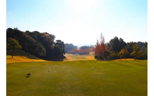 八女上陽ゴルフ倶楽部 利用券（3,000円分）【レターパック】