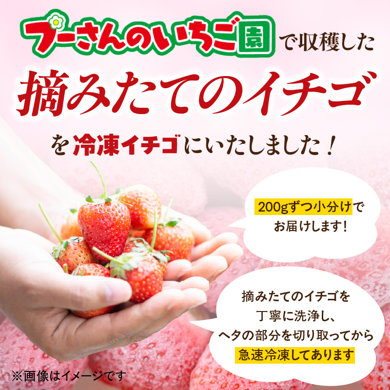 【急速冷凍イチゴ】食べ比べセット★グラニュー糖「なし」★｜1キロ 冷凍いちご