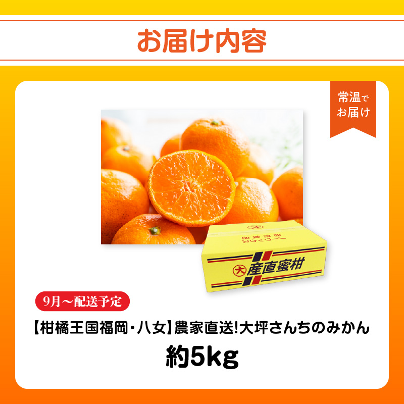 【9月上旬～2月下旬配送予定】【柑橘王国福岡・八女】農家直送！大坪さんちのみかん  みかん 立花町 大坪農園 農産直売所 安心安全 肥料配合 福岡県 八女