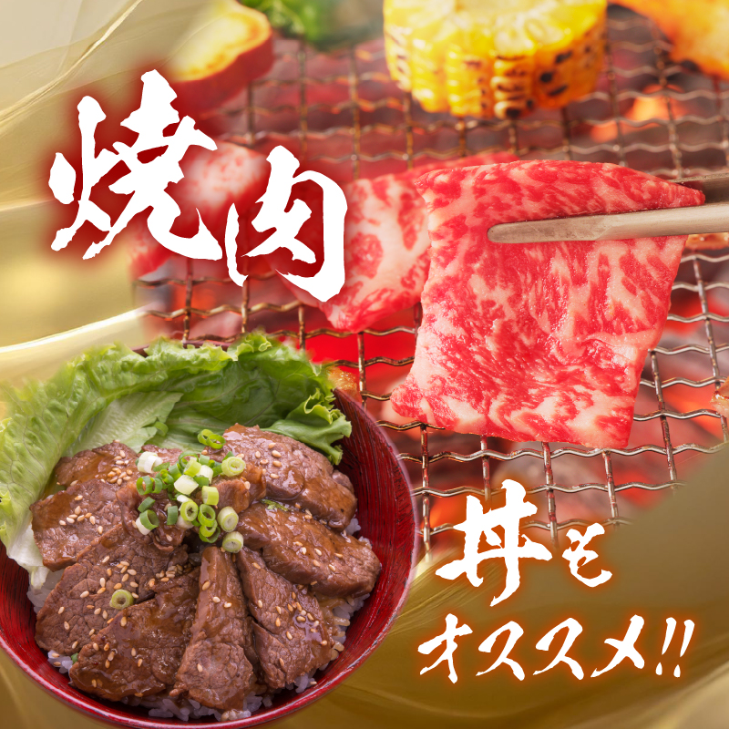 【牛肉】 船小屋牛 リブロース 焼肉 【500g】《筑後》【冷凍】