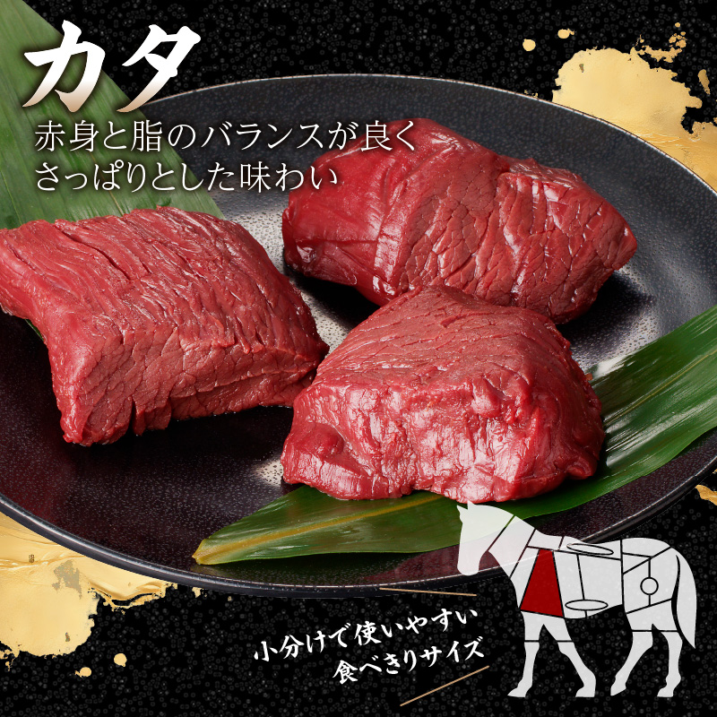 《福岡肥育》国産馬刺したれ付き【カタ】100g×5【冷凍】