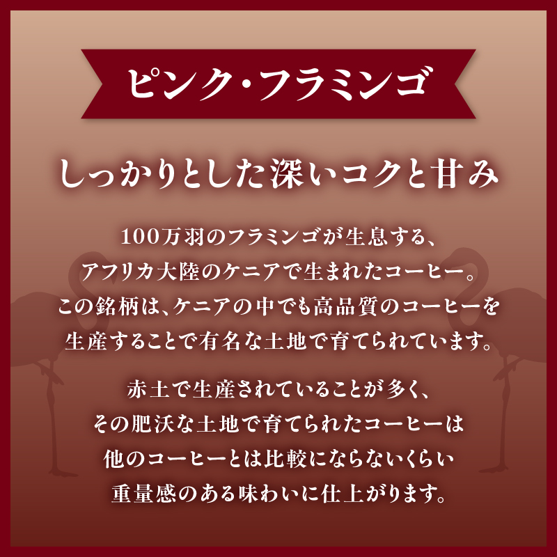 レギュラーコーヒー【豆】3種詰め合わせセット（店主が選んだおすすめ珈琲）【レターパック】  コーヒー 珈琲 豆 コーヒー豆 深煎り すっきり お家カフェ リラックス 福岡県 八女市
